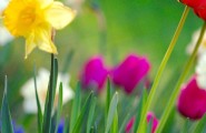 Does Spring Affect the Necessity for Insulation