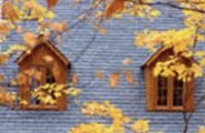 Get Ready for the Fall with Energy Saving and Insulation Tips