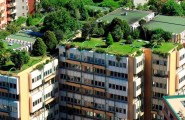 What is New with Green Roofs