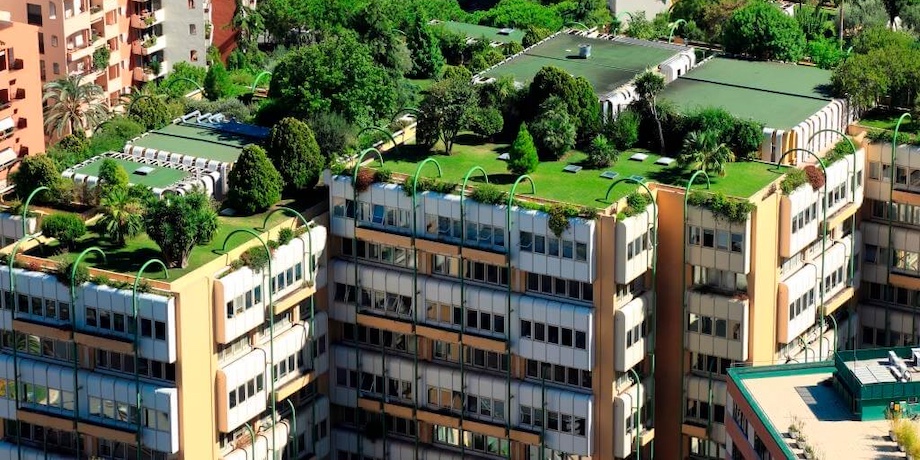 What is New with Green Roofs