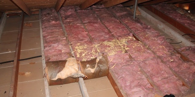 Attic Insulation is not only Important for the Winter