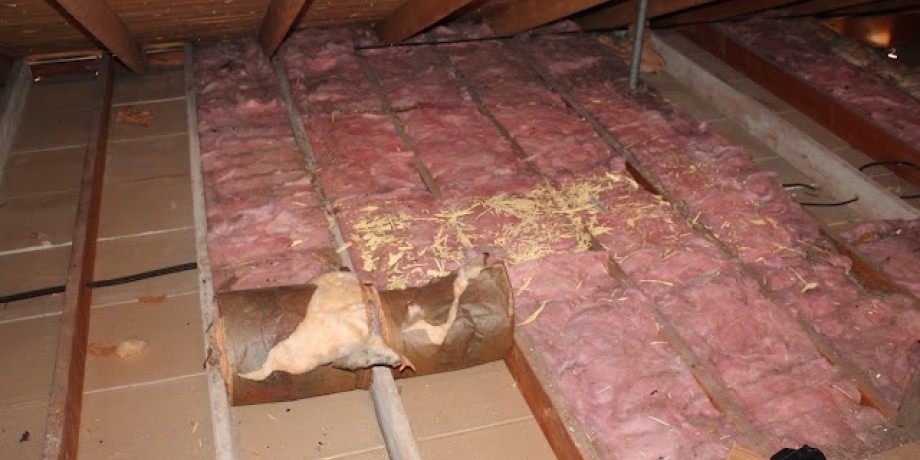 Attic Insulation is not only Important for the Winter